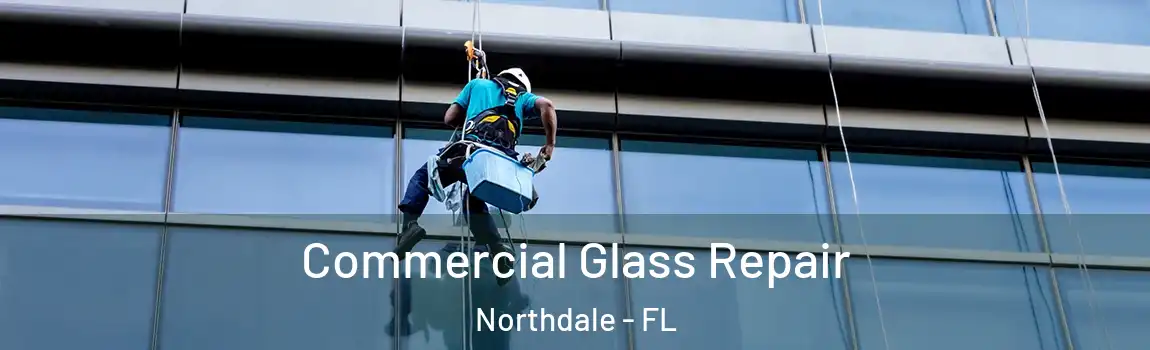  Commercial Glass Repair Northdale - FL
