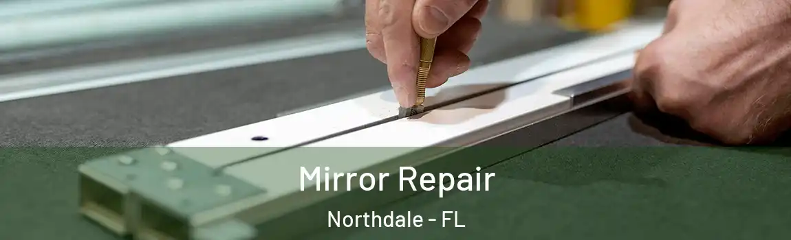  Mirror Repair Northdale - FL