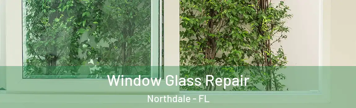  Window Glass Repair Northdale - FL