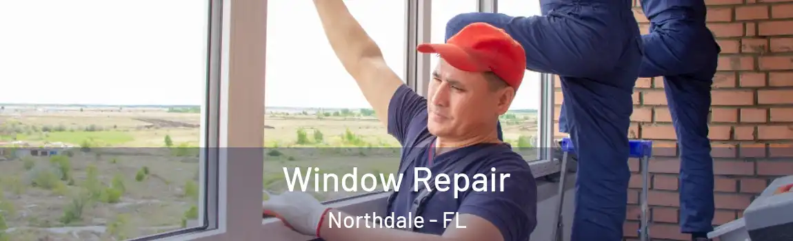  Window Repair Northdale - FL