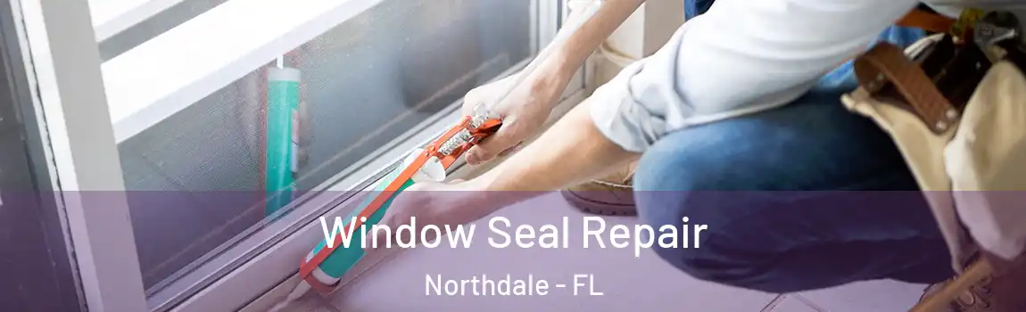 Window Seal Repair Northdale - FL